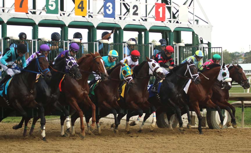 Maryland Million