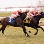 Romantic Cork looks to double up in My Sister Pearl