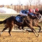 Romantic Cork looks to double up in My Sister Pearl