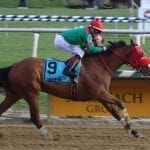 Afleet Willy