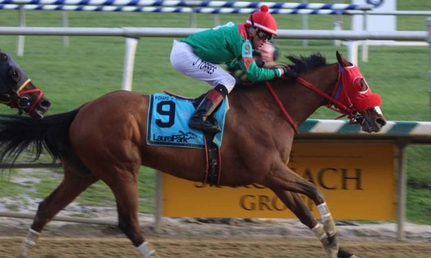 Afleet Willy