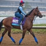 Va-bred Stellar Wind geared up for third Distaff try