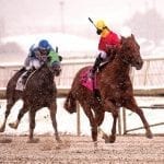 Timeless Curls, General Downs take Laurel route stakes
