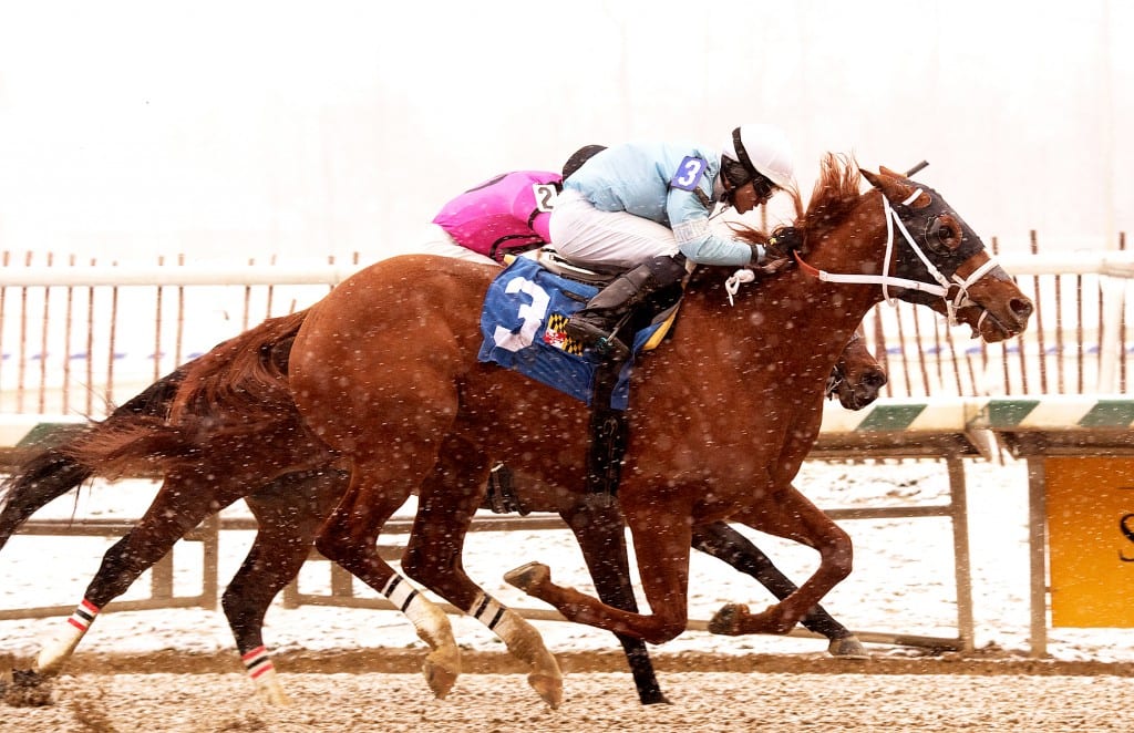 Whirlin Curlin