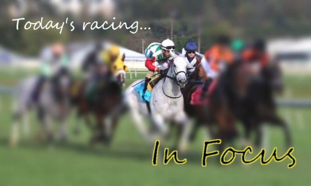 In Focus: Wagering Delaware Handicap Day 2019