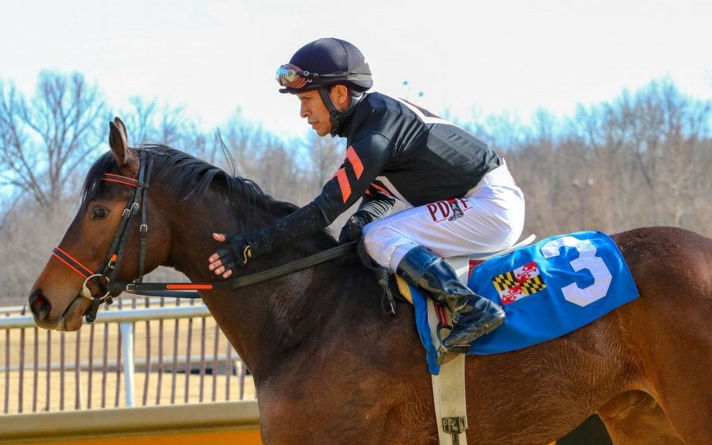 Jan. 27 Laurel Park stakes: Day in photos