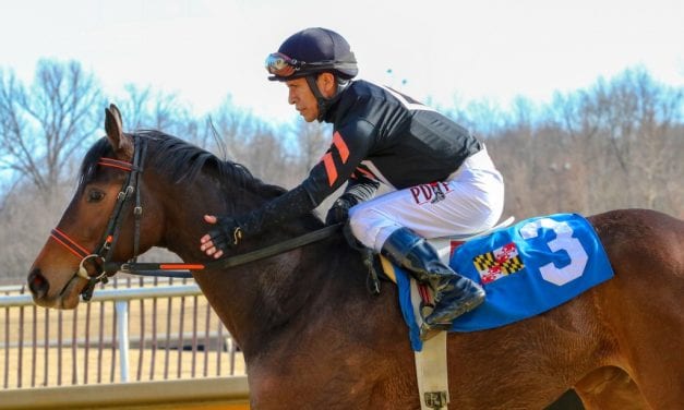 Jan. 27 Laurel Park stakes: Day in photos