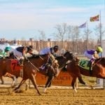Ms Locust Point romps to popular What A Summer victory