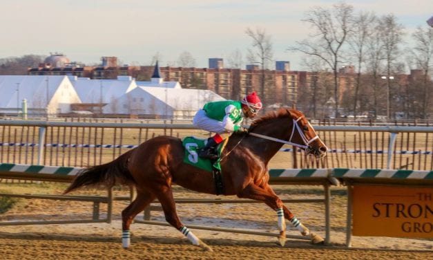 Ms Locust Point romps to popular What A Summer victory