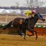 Hipnotizada is first winner for Uncle Lino