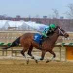 Angel At War looks to win seventh straight in What A Summer