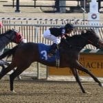 Delaware Park horses to watch: June 14, 2018