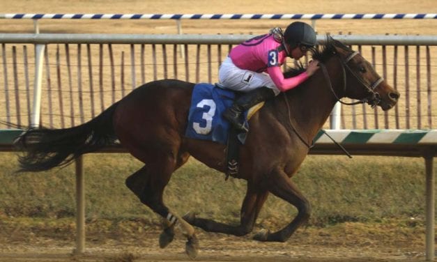 MD-breds dominate first Top Midlantic-bred Poll of 2018