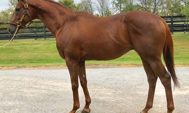 Dr. Bill Solomon: Lord Shanakill, Last Gunfighter offer pedigree, value