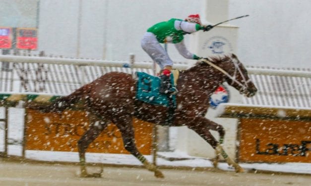 Maryland Jockey Club offering incentives for graded winners
