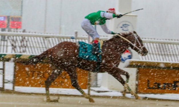 Ms Locust Point looks to “find winning ways” in Skipat