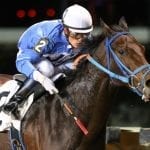 Irish War Cry earns top NJ-bred honors