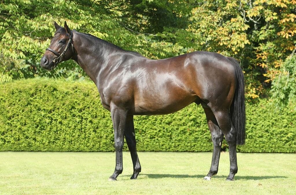 Looking for value sires in the Mid-Atlantic