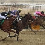 Locals set to take swing at General George