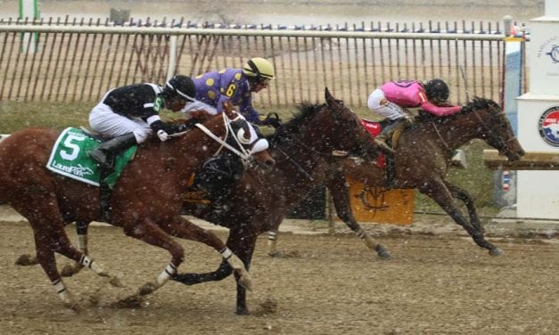 Still Having Fun takes Preakness step in Miracle Wood