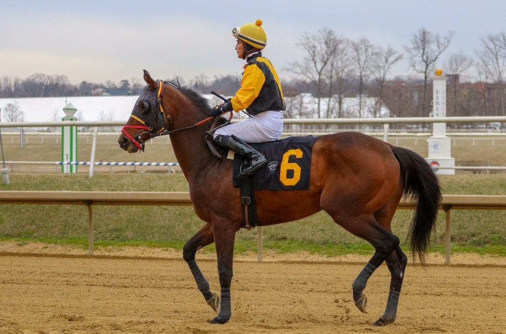 Jockey Jose Flores dies of injuries after Monday spill
