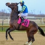 Karamanos, Gonzalez enjoy productive Sunday at Laurel Park