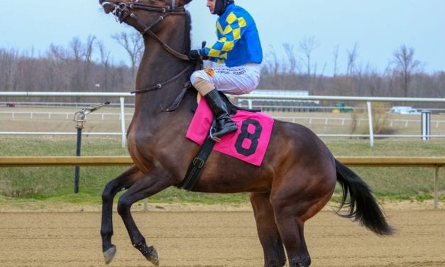 St. Patrick’s Day at Laurel Park in pictures