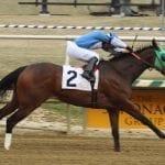 Smokinpaddylassie rallies to prompt Oaks dreams