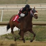 Smokinpaddylassie rallies to prompt Oaks dreams