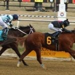Twisted Ride, Morning Matcha take Parx stakes