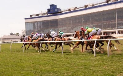 Understudy Kitty looks for starring role in Laurel Futurity