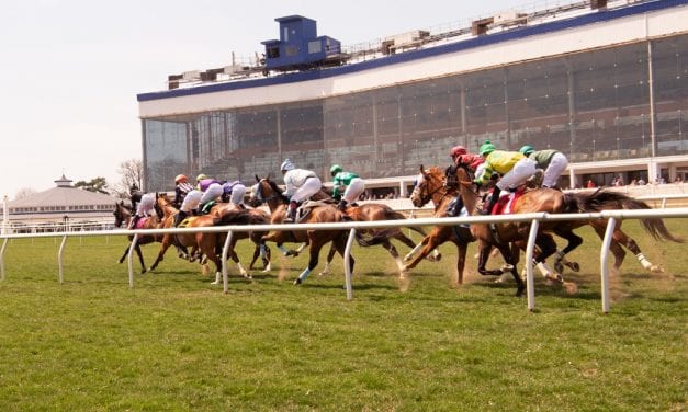 Laurel Park concludes turf season