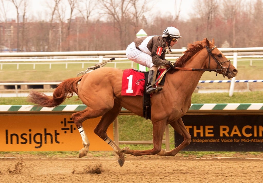 Cordmaker decisively won the allowance feature at Laurel Park. Photo by Jim McCue, Maryland Jockey Club.