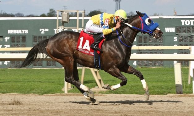 Grasshoppin, Power of Snunner take PA-bred stakes