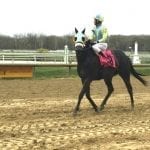 Nakamura breaks maiden as Laurel Park opens turf course