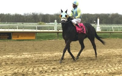 Laurel Park gets Commission OK to resume racing