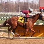 Nakamura breaks maiden as Laurel Park opens turf course