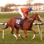 Grasshoppin, Power of Snunner take PA-bred stakes