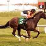 Maryland Million Trivia Quiz