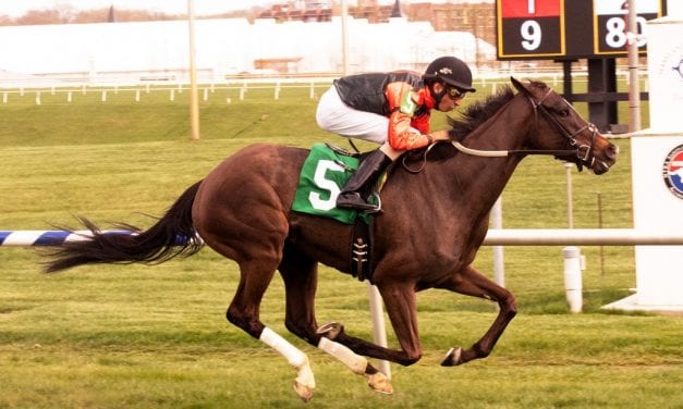 My Sistersledge earns first win since Maryland Million score