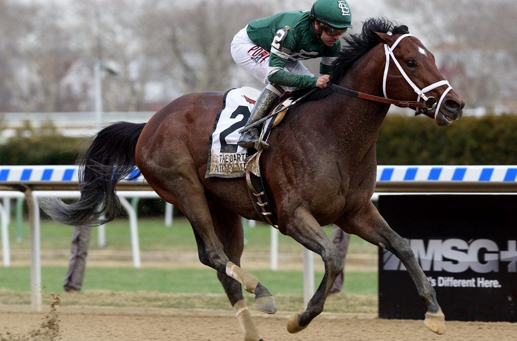 Army Mule heads latest Top Midlantic-bred Poll