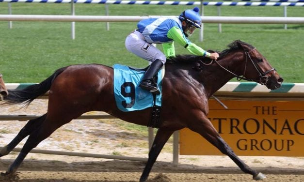 Favored Chalon proves best in Primonetta