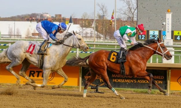 Projected, Diamond King head Monmouth graded stakes