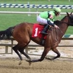 Preakness Past: Funny Cide and his merry band