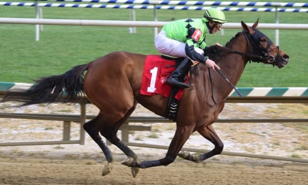 Goodonehoney among newcomers to Top Midlantic-bred Poll