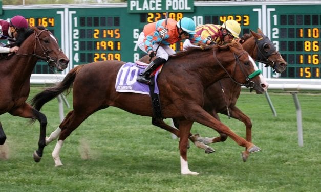 G1 winner Force the Pass retired to stud in Maryland