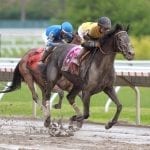 Preakness Past: The “honest” Prairie Bayou