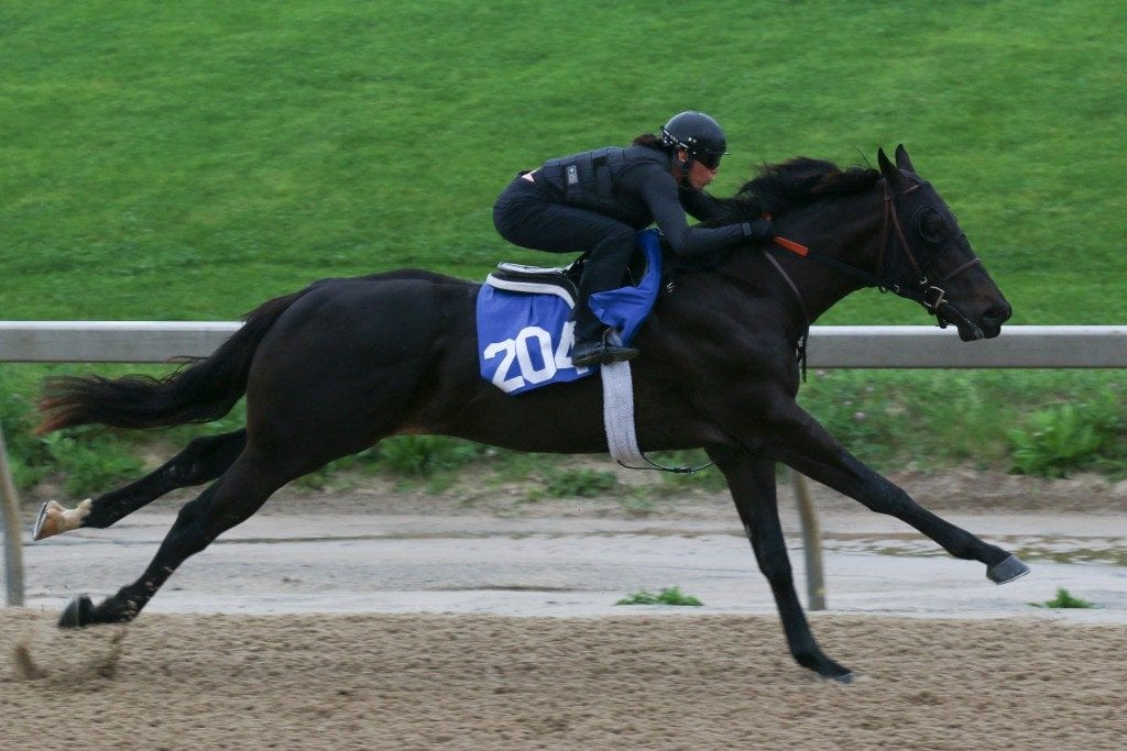 Fasig-Tipton