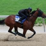 New Md. Thoroughbred Career Program class announced