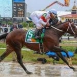 Preakness profiles: Bravazo